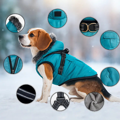 Hundemantel Winter wasserdicht mit Geschirr | warm & stilvoll