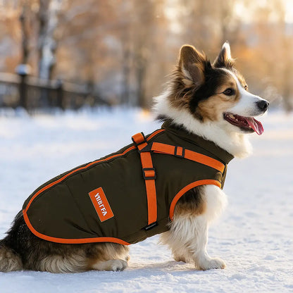 Hundemantel Winter 2-in-1 | Warme & Wasserdichte Jacke mit Geschirr