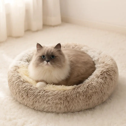Katzenbett & Katzenhöhle 2-in-1 | weich & warm für gemütlichen Schlaf