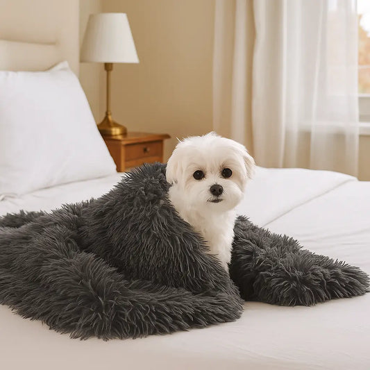 Hundedecke Flauschig | Weiche & Warme Kuscheldecke für Hunde
