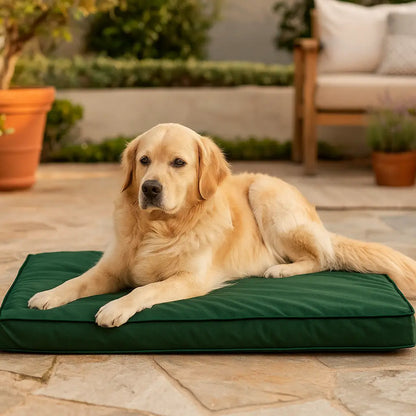 Hundebett Tragbar & Waschbar | Bequeme & Pflegeleichte Hundematte
