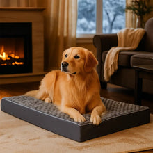 Dog Bed Comfort Lying Cushion | Soft & Washable Dog Mat Large