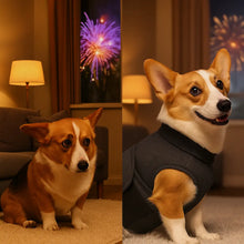 Dog coat against stress | Gentle vest for calm & safety
