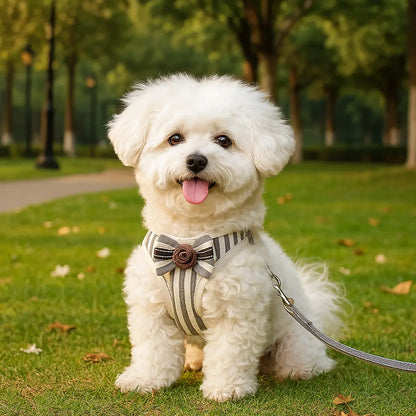 Hundegeschirr mit Leine | Bequemes & Stilvolles Set mit Schleife
