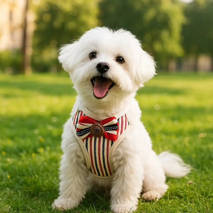 Hundegeschirr mit Leine | Bequemes & Stilvolles Set mit Schleife