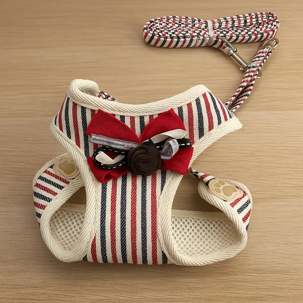 Hundegeschirr mit Leine | Bequemes & Stilvolles Set mit Schleife