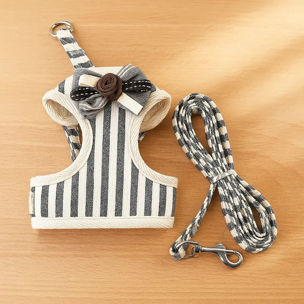 Katzengeschirr mit Leine | Bequemes & Sicheres Set mit Schleife