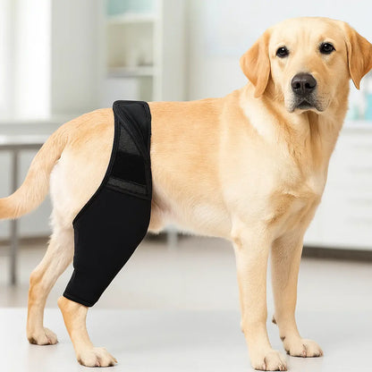 Kniebandage für Hund | atmungsaktive Stütze für Knie & Gelenke