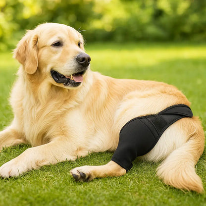 Kniebandage für Hund | atmungsaktive Stütze für Knie & Gelenke