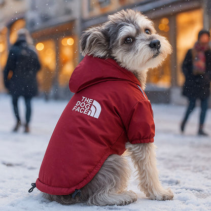 Warme Hundejacke Winter | Wasserdicht, reflektierend mit Kapuze