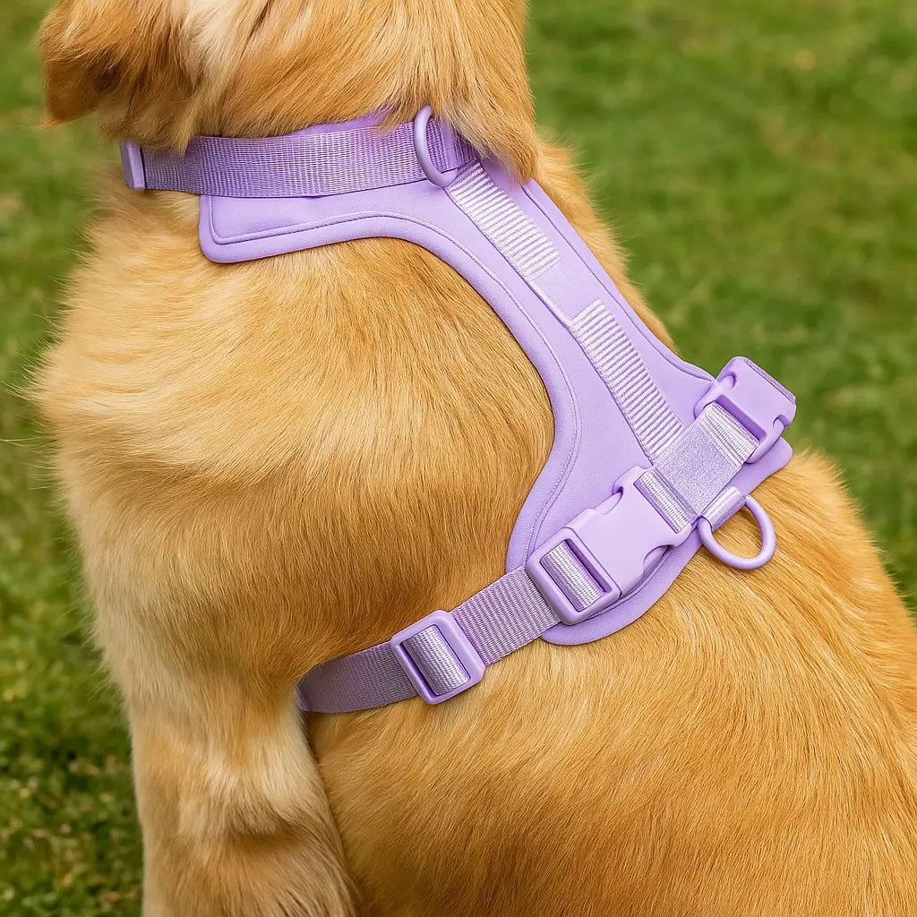 Weiches Hundegeschirr verstellbar | Gepolstertes & Leichtes Komfortgeschirr