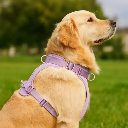 Weiches Hundegeschirr verstellbar | Gepolstertes & Leichtes Komfortgeschirr