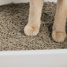 Modern Cat Litter Box | Odor-Free & Easy to Clean with High Walls