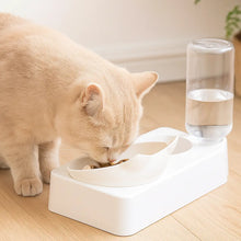 Tilted & non-slip cat bowl | Clean & comfortable feeding