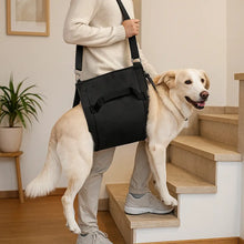 Harnais de portage pour chien avec poignée | Confort & soutien au quotidien