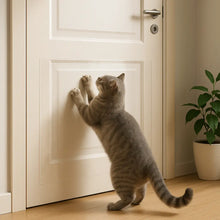 Scratch protection for cat furniture | transparent film against claw marks