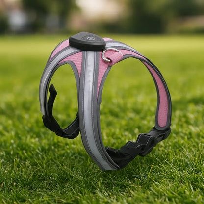 Dog harness LED glowing | Multicolored & rechargeable
