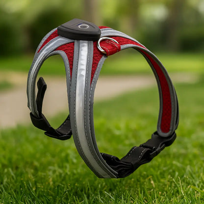 Dog harness LED glowing | Multicolored & rechargeable