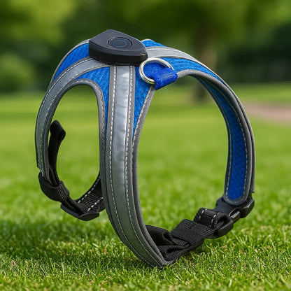 Dog harness LED glowing | Multicolored & rechargeable
