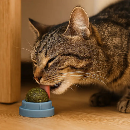 Catnip Katzen Wandspielzeug | drehbare Bälle zum Lecken & Spielen