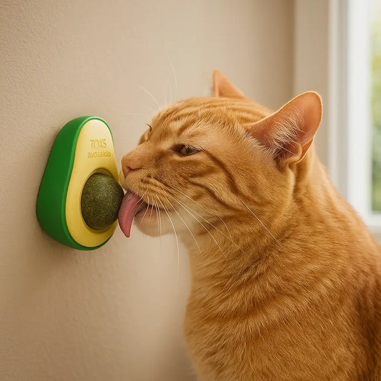 Katzenminze Spielzeug Avocado | drehbarer Catnip-Ball zum Spielen