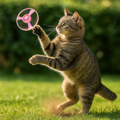 Katzenspielzeug Flugscheiben Pistole | interaktives Abschussspiel