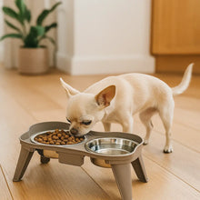 Gamelle surélevée en acier inoxydable pour chien | Set double avec support antidérapant