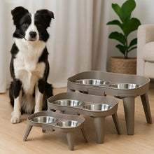 Gamelle surélevée en acier inoxydable pour chien | Set double avec support antidérapant