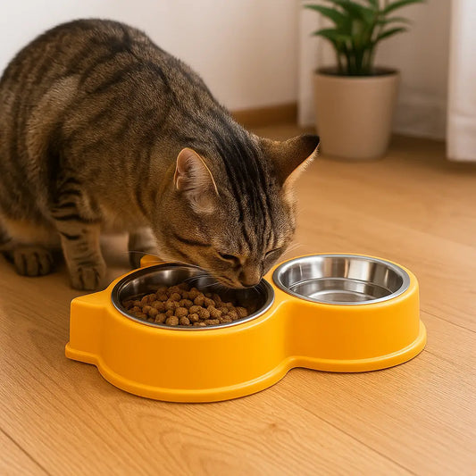 Katzennapf Edelstahl | Rutschfest & Abnehmbar für Sauberes Fressen