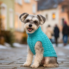 Dog Sweater | Warmer & More Comfortable Winter Sweater for Dogs