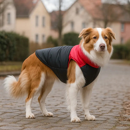 Warm dog winter coat waterproof with D-ring for all sizes