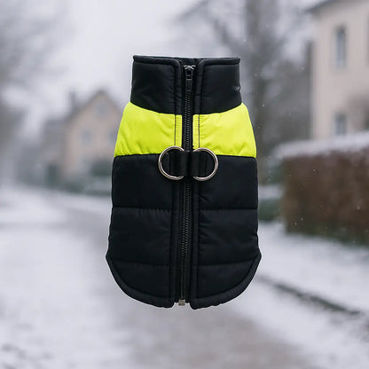 Warm dog winter coat waterproof with D-ring for all sizes