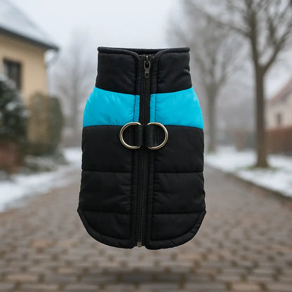 Warm dog winter coat waterproof with D-ring for all sizes