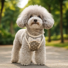 Dog harness with leash | Comfortable & Stylish set with bow