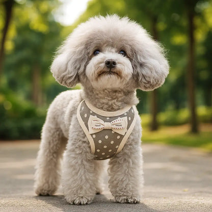Harnais pour chien avec laisse | Ensemble confortable & élégant avec nœud
