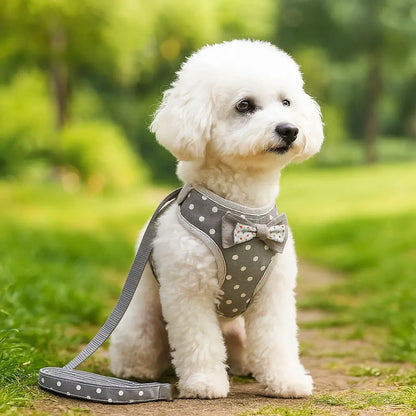 Harnais pour chien avec laisse | Ensemble confortable & élégant avec nœud