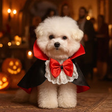 Halloween Dog Coat Vampire Cloak | Costume for Dogs & Puppies