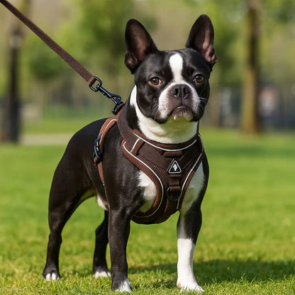 Reflective Dog Harness | Breathable & Safe for Walks