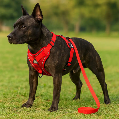 Reflective Dog Harness | Breathable & Safe for Walks