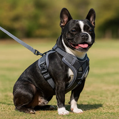 Reflective Dog Harness | Breathable & Safe for Walks