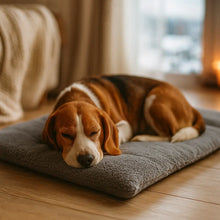 Self-warming dog bed | Cozy heat mat for winter