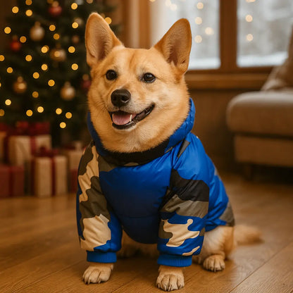 Manteau d'hiver pour chien | Imperméable, coupe-vent & extra chaud pour chiens