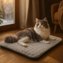 Self-Heating Cat Bed for Winter | Soft & Washable Heat Mat