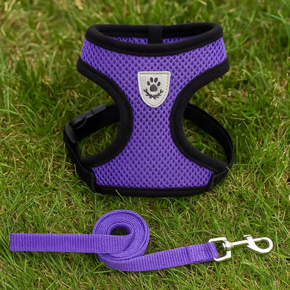 Breathable Cat Harness with Leash | Comfort & Safety