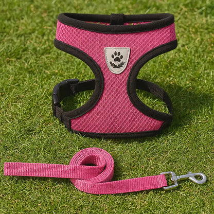 Breathable Cat Harness with Leash | Comfort & Safety