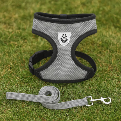 Breathable Cat Harness with Leash | Comfort & Safety
