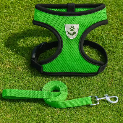 Breathable Cat Harness with Leash | Comfort & Safety