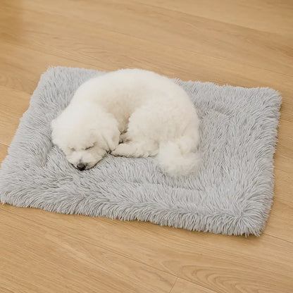 Lit pour chien | Lit doux & lavable pour un sommeil paisible