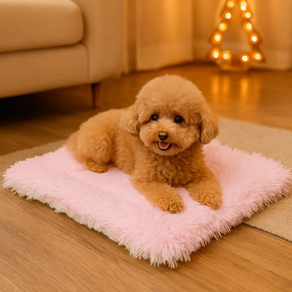 Lit pour chien | Lit doux & lavable pour un sommeil paisible