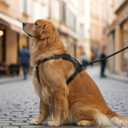 Dog harness against pulling | Reflective & safe with handle